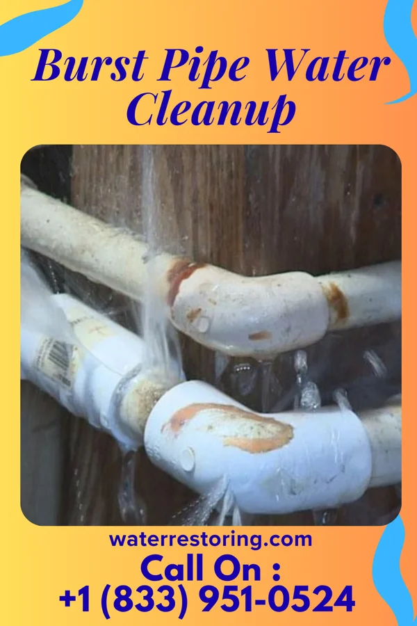 Burst Pipe Water Cleanup in McGuire AFB, NJ