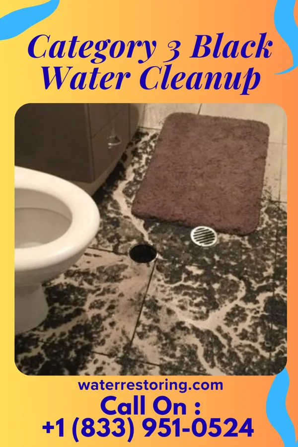 Category 3 Black Water Cleanup in McGuire AFB, NJ