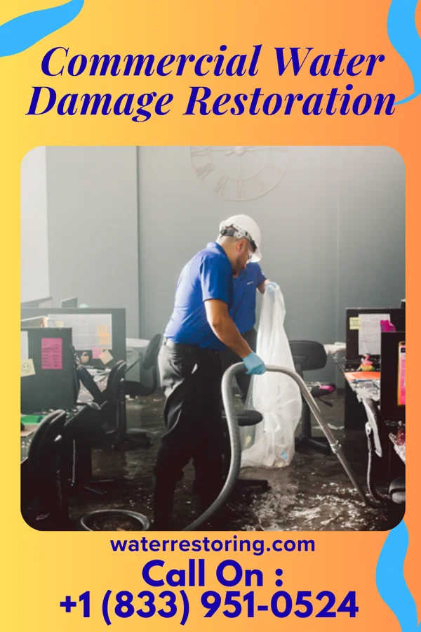 Commercial Water Damage Restoration in McGuire AFB, NJ