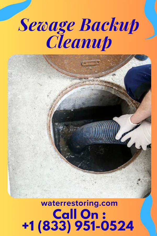 Sewage Backup Cleanup in McGuire AFB, NJ