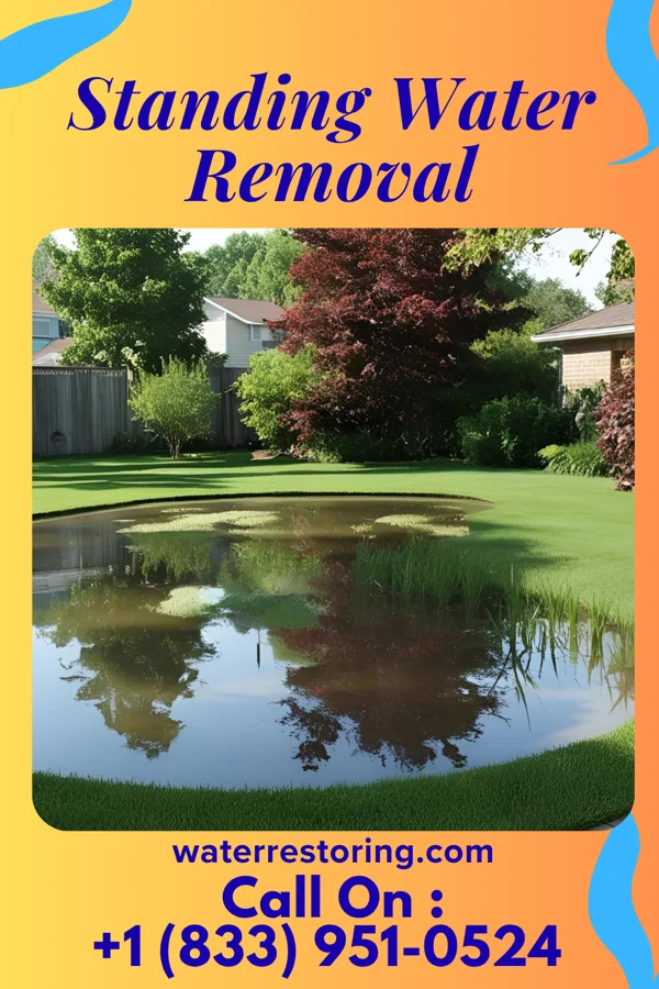 Standing Water Removal in McGuire AFB, NJ